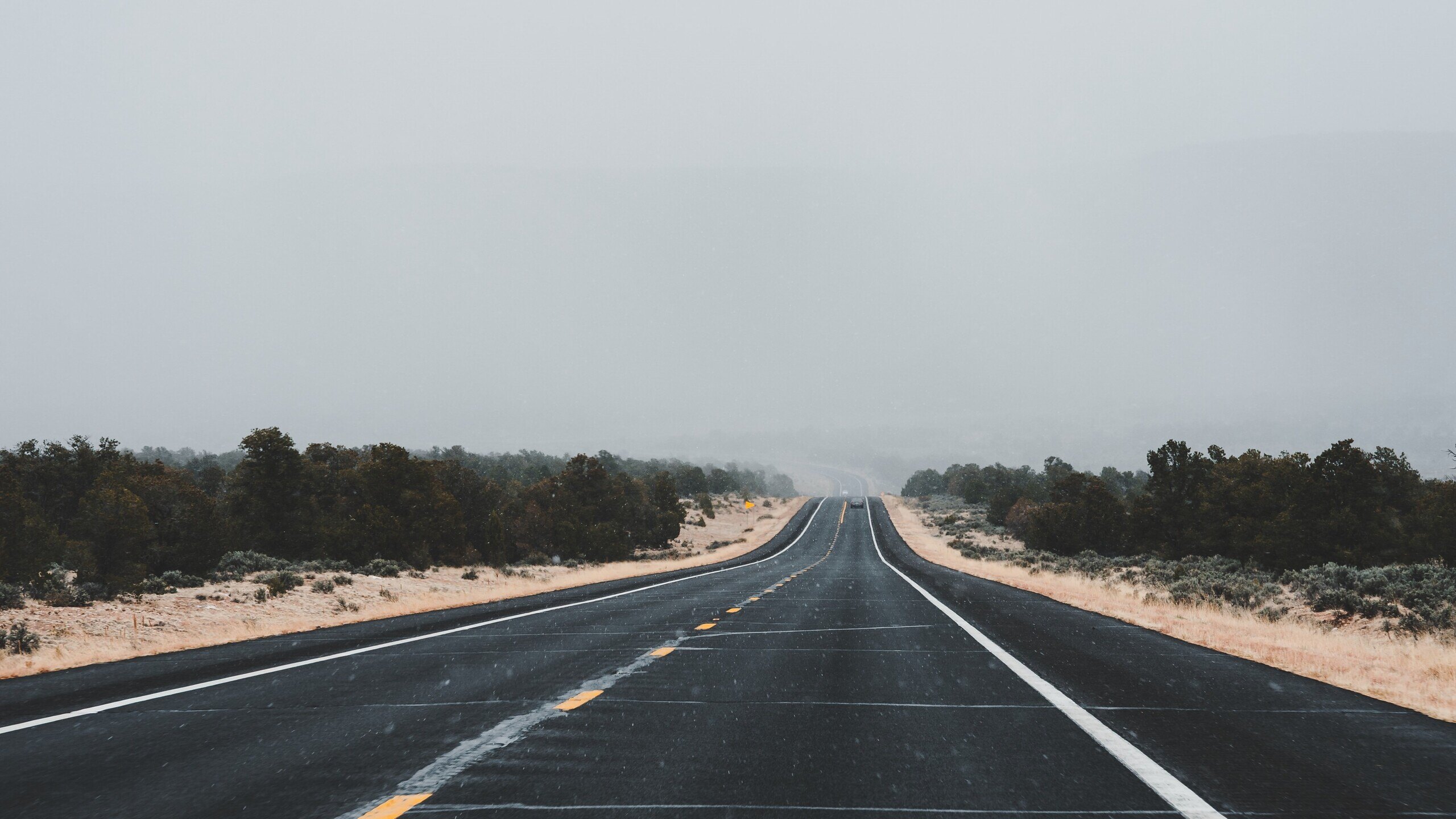 Strasse durch eine neblige Landschaft